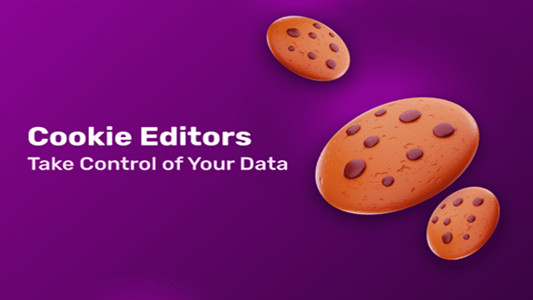 使用cookies editor登录facebook脸书账号视频演示教程