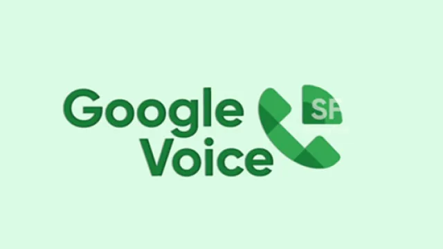 You should have your own Google Voice US virtual phone number