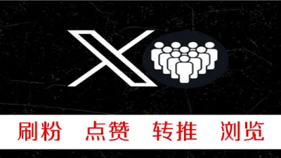 推特刷粉1000粉/200元低掉率不能保证不掉 - 海外热门APP | 刷粉 | 点赞 | 刷浏览量